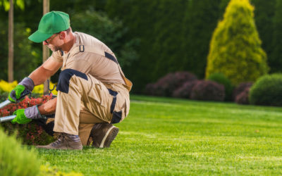 Entretien de jardin à Genève en octobre : préparer vos extérieurs avant l’hiver