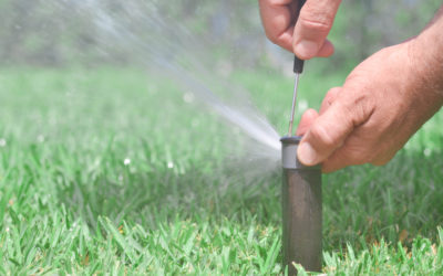 L’entretien et l’arrosage technique : le duo gagnant pour un jardin resplendissant 
