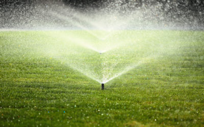 Bien gérer l’arrosage pendant les périodes de canicule