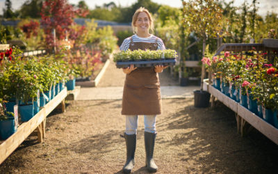 Plantation d’automne à Genève : pourquoi le 15 septembre est un moment clé pour restructurer votre jardin